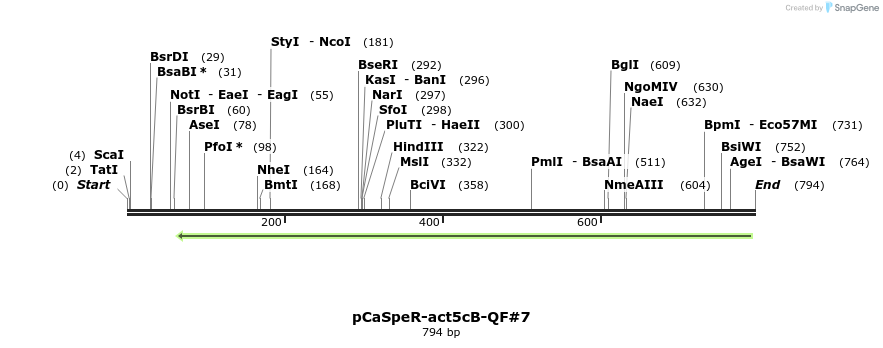 68305_map