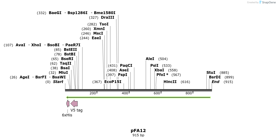 68308_map