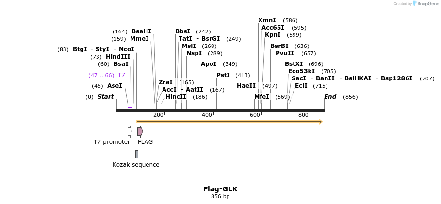 68310_map