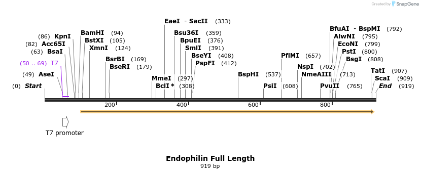 68311_map