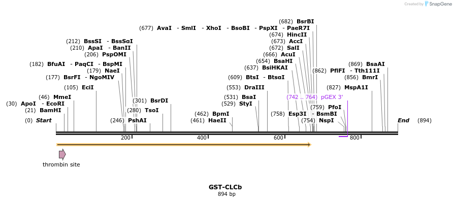68312_map