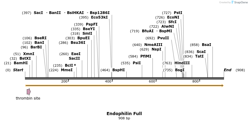 68313_map