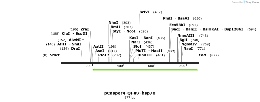 68333_map