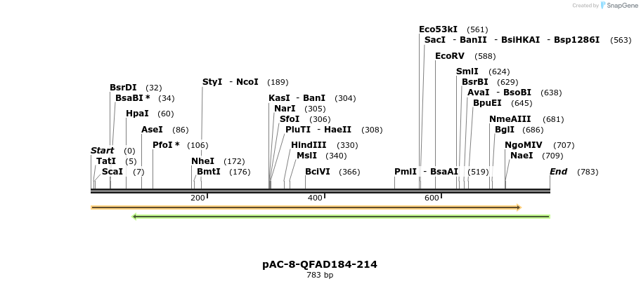 68335_map