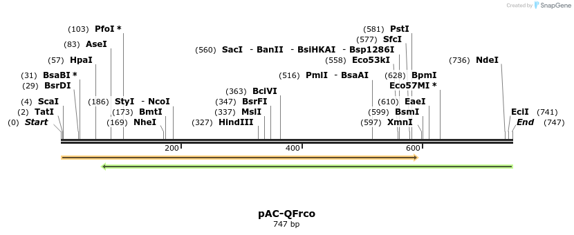 68339_map