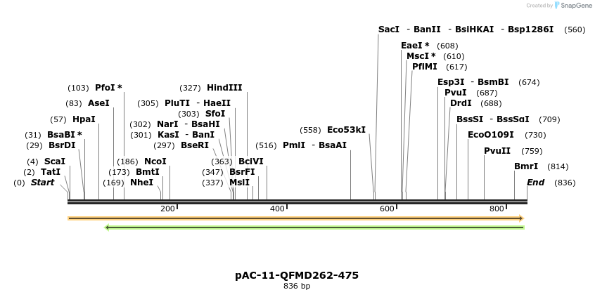 68396_map