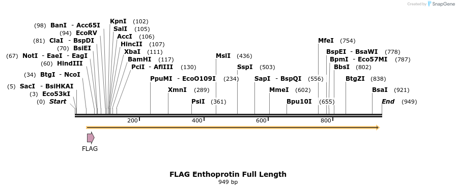 68400_map