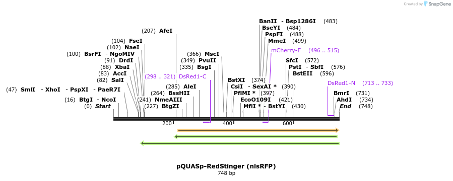 68402_map