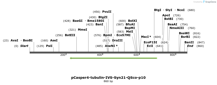 68403_map