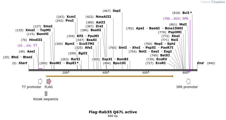 68404_map
