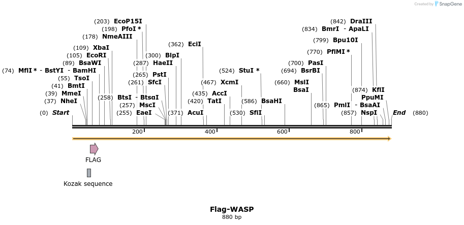 68407_map