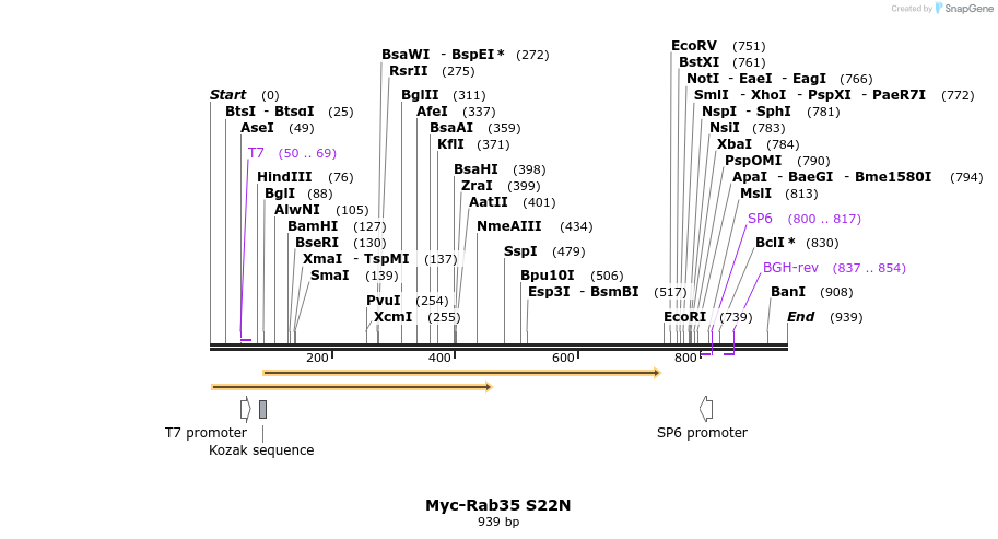 68410_map