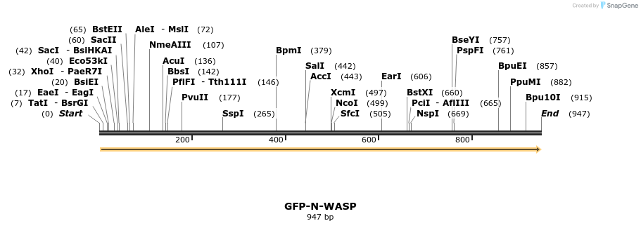 68411_map