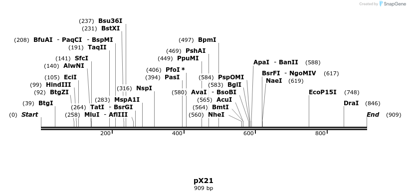 68426_map