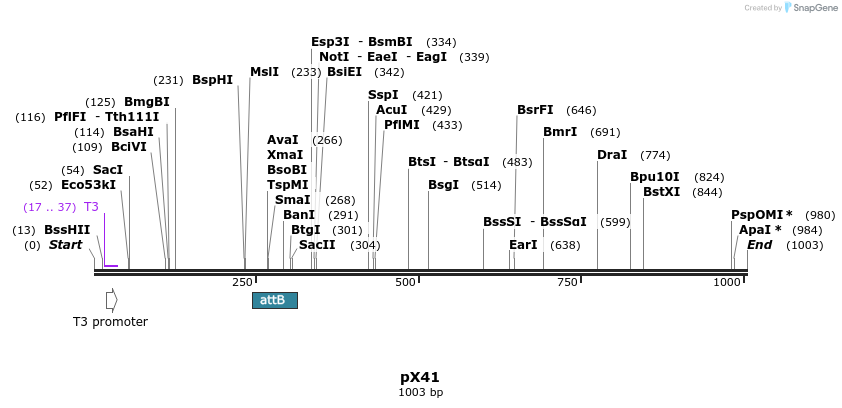 68431_map