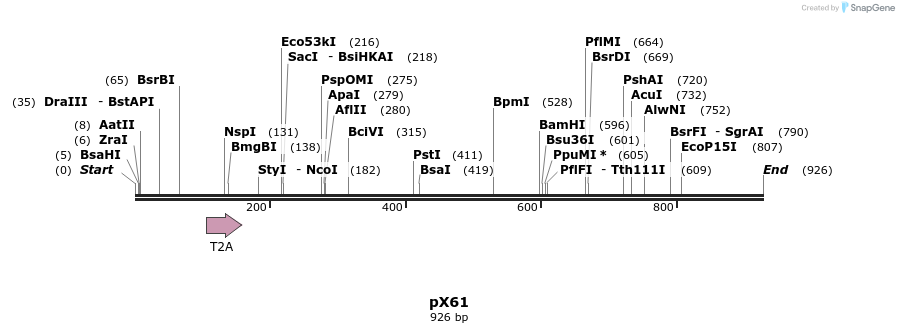 68433_map