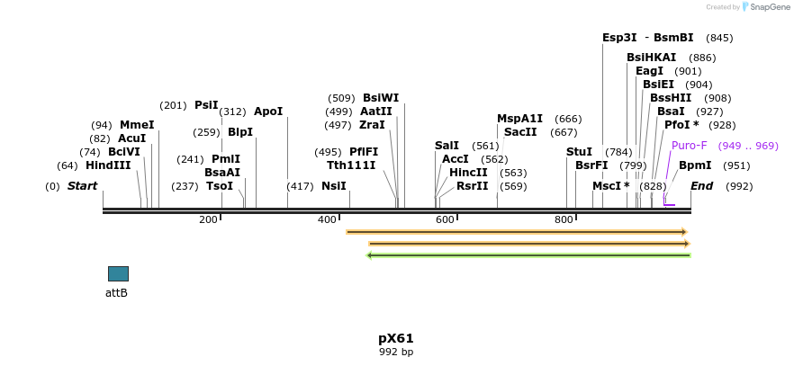 68434_map