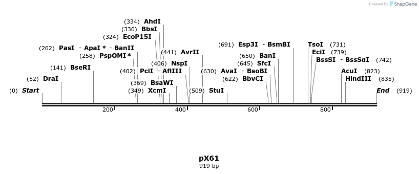 68435_map