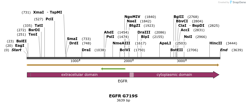 6847_map
