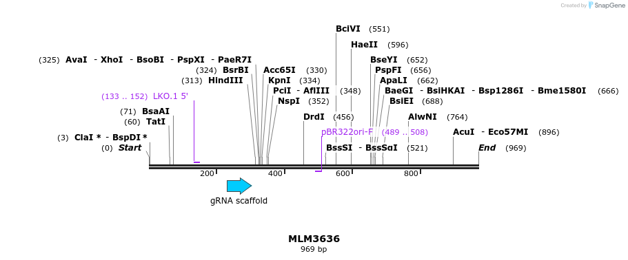 68482_map