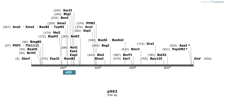 68489_map