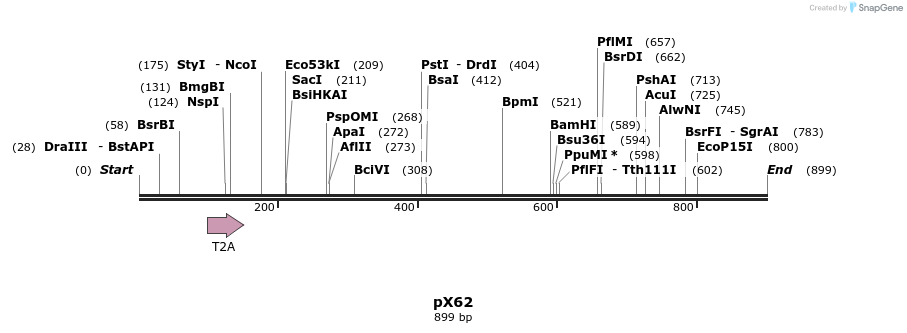 68492_map
