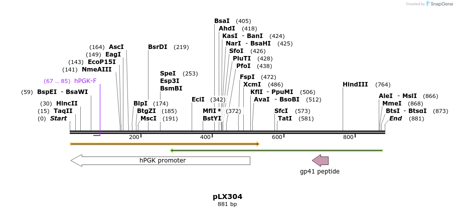 68497_map