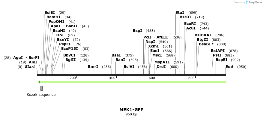 68504_map