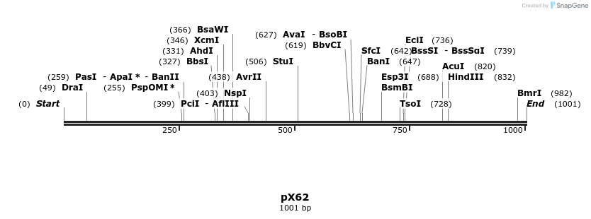 68505_map