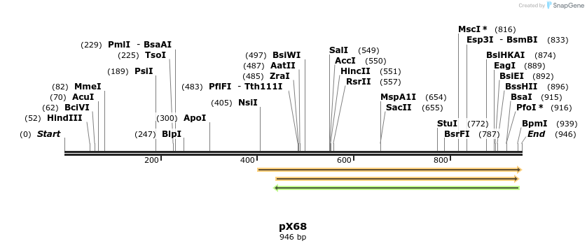 68507_map