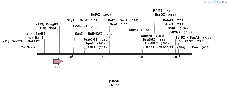 68508_map