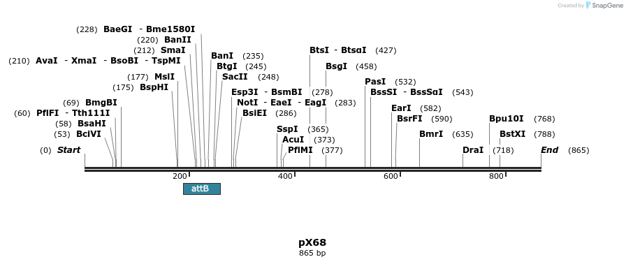 68509_map