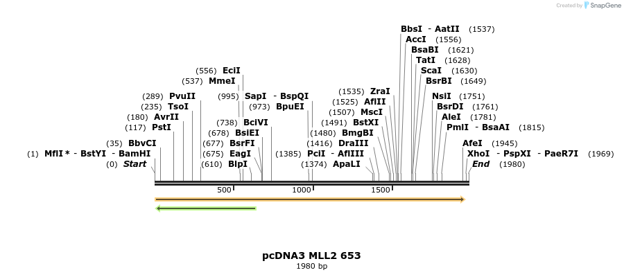 6851_map