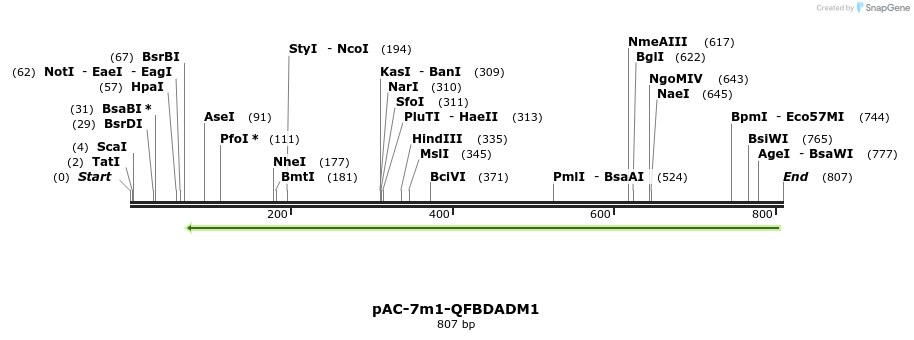 68512_map