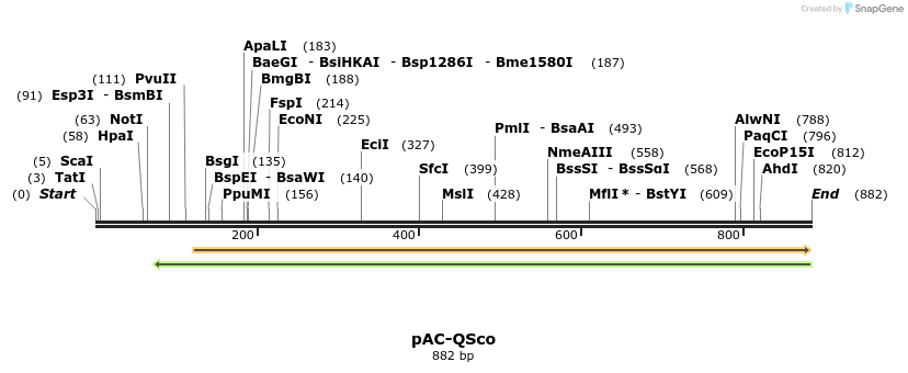 68515_map