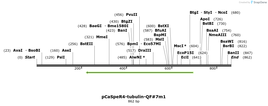 68518_map