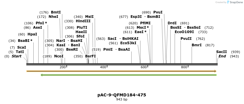 68526_map