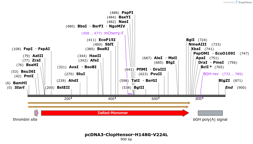 68537_map