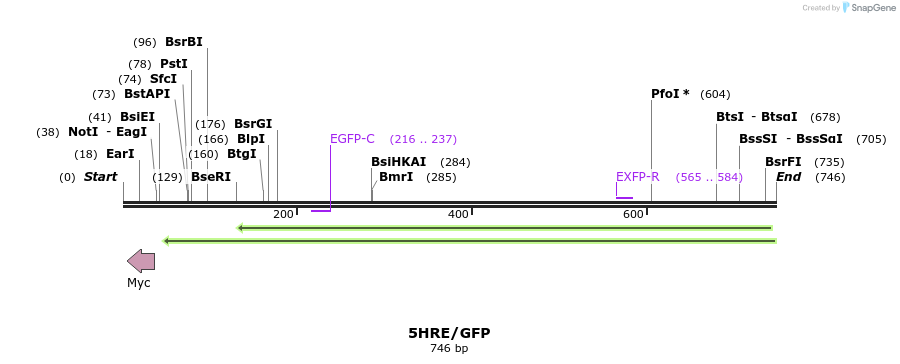 68538_map