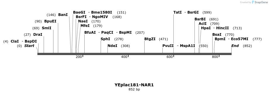 68541_map