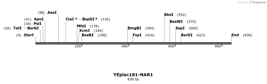 68542_map