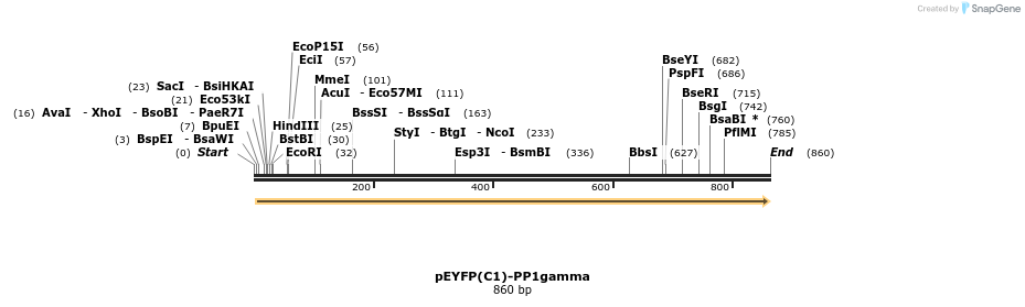 68545_map