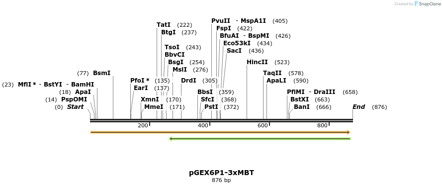 68548_map
