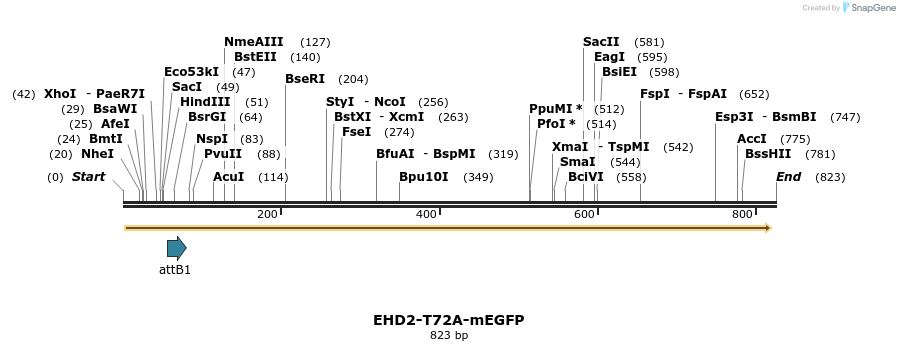 68554_map
