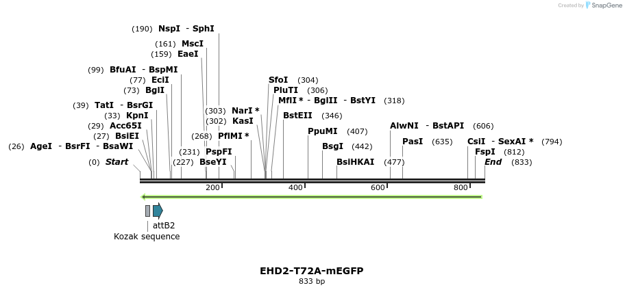 68563_map