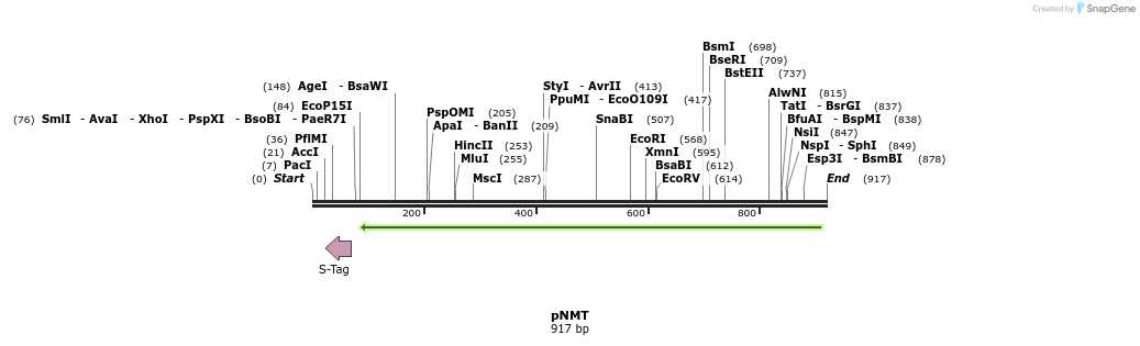 68568_map