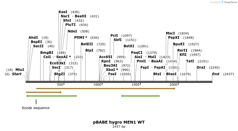 6857_map