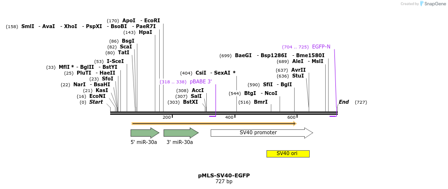 68570_map