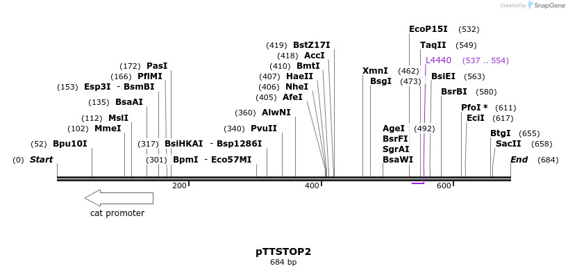 68577_map