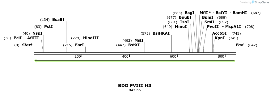 68582_map